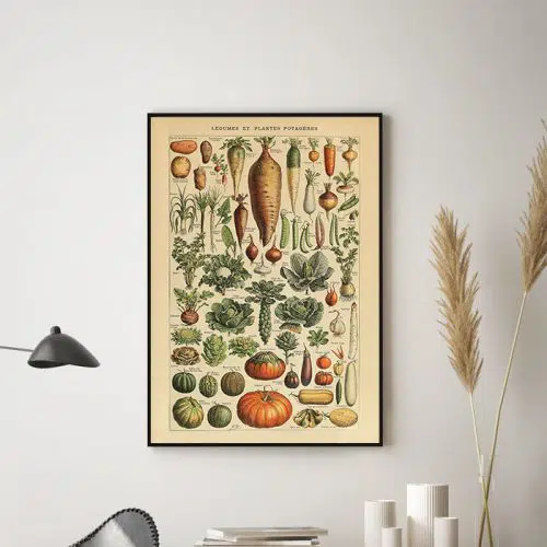 Grøntsager - Adolphe Millot