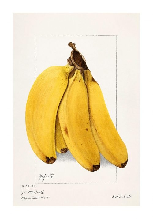 Bananas