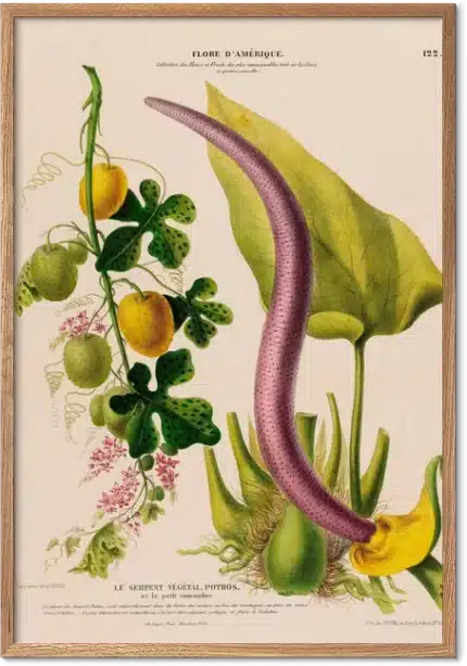 Retroplakat Agurk