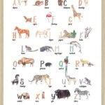 Alfabet plakat med dyr