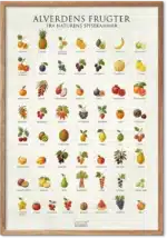 Frugt plakat med illustrerede frugter fra hele verden – farverig køkkendekoration
