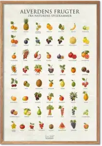 Frugt plakat med illustrerede frugter fra hele verden – farverig køkkendekoration