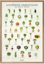 Grøntsag plakat med illustrerede grøntsager fra hele verden – køkkenkunst