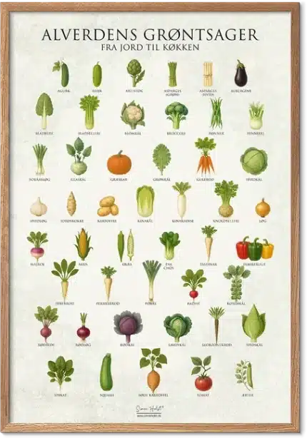 Grøntsag plakat med illustrerede grøntsager fra hele verden – køkkenkunst