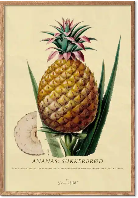 Ananas retroplakat – vintage botanisk illustration til køkkenet