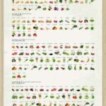 Årstidernes frugt og grønt