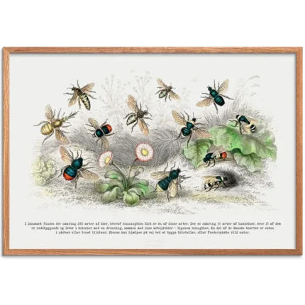 Biarter plakat