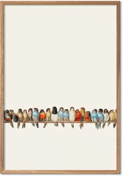 Birds