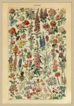 Blomster – Adolphe Millot