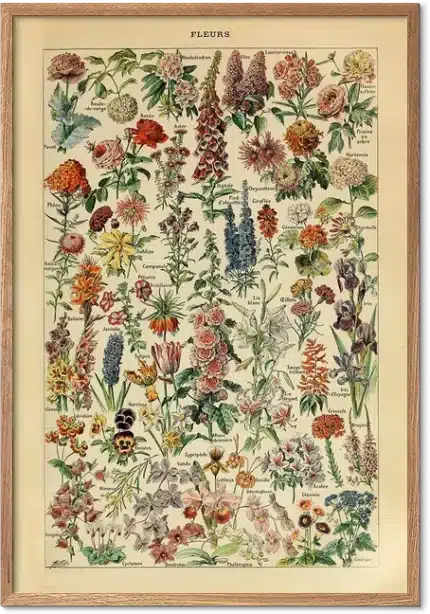 Blomster - Adolphe Millot