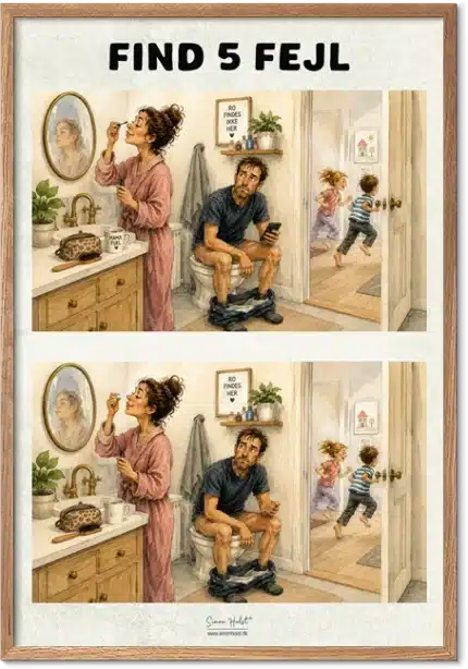 Find 5 Fejl