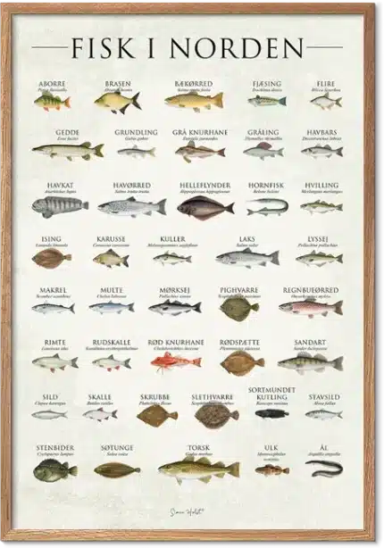 Fisk i Norden Plakat