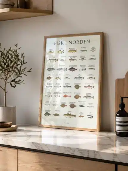 Fisk i Norden plakat med 39 nordiske fiskearter illustreret med dansk og latinsk navn – SimonHolst