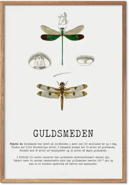 Guldsmed