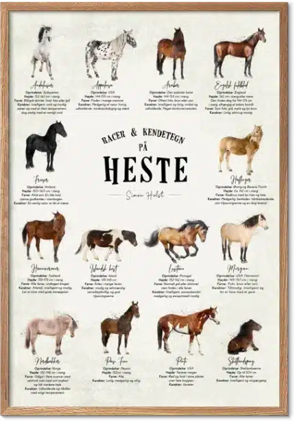 Plakat med Hesteracer