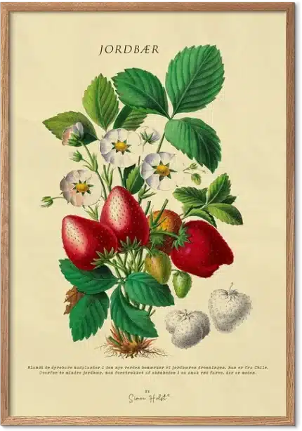 Jordbær Plakat