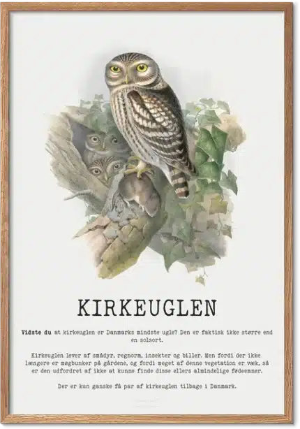 Kirkeuglen Plakat