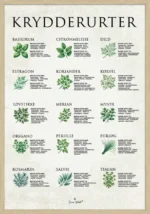 Krydderurter Plakat