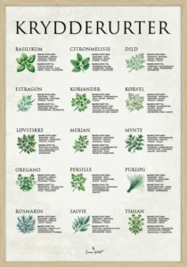 Krydderurter Plakat