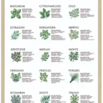 Krydderurte Plakat