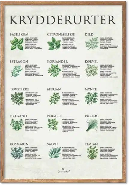 Krydderurter Plakat