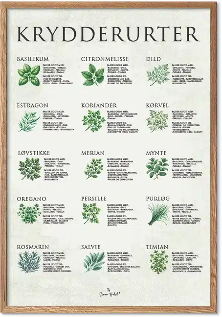 Krydderurter plakat med 15 forskellige kryderurter, der passer til køkkenet.
