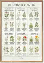Medicinske planter plakat – illustreret guide til lægeurter og deres virkning