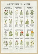 Medicinske Planter Plakat