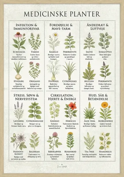 Medicinske Planter Plakat