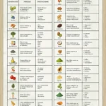 Superfoods Plakat