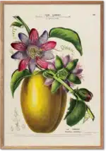 Passionsfrugt retroplakat – eksotisk botanisk illustration i vintagestil