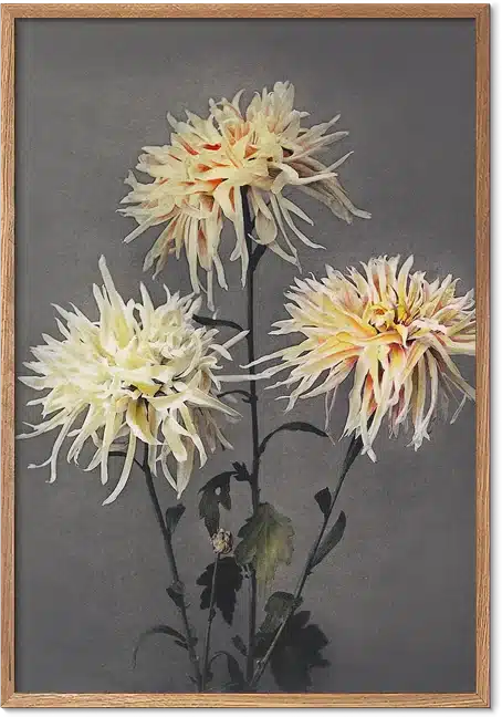 Some Japanese Flowers