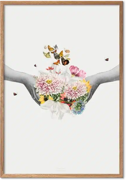 Sommerfugle Plakat