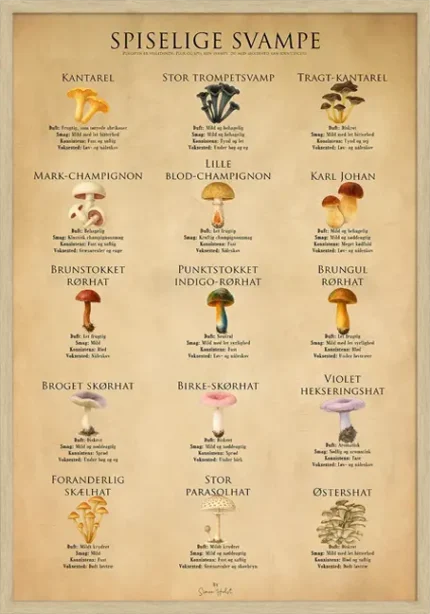 Spiselige Svampe
