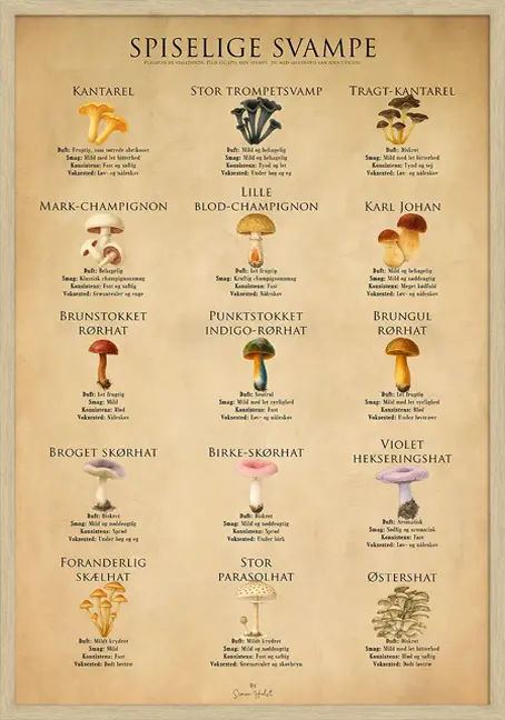 Spiselige Svampe
