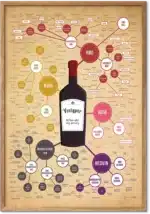 Vintyper plakat – visuel guide til rødvin, hvidvin og rosévin