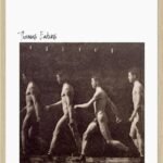 Walking Naked Men Web