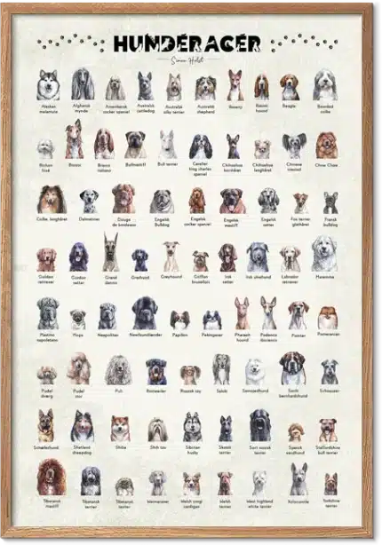 Hundeplakat