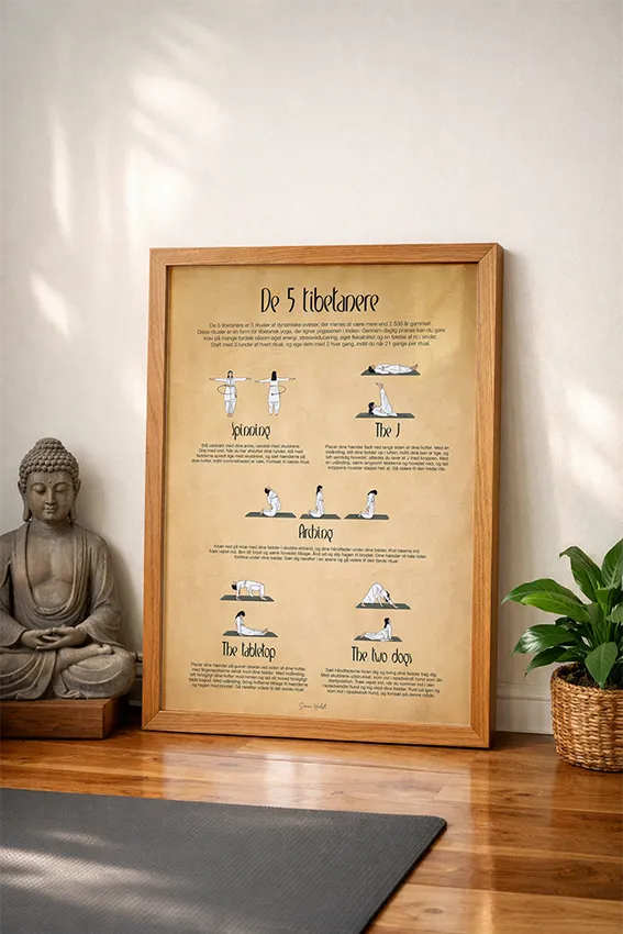 De 5 tibetanere som plakat i yogarum