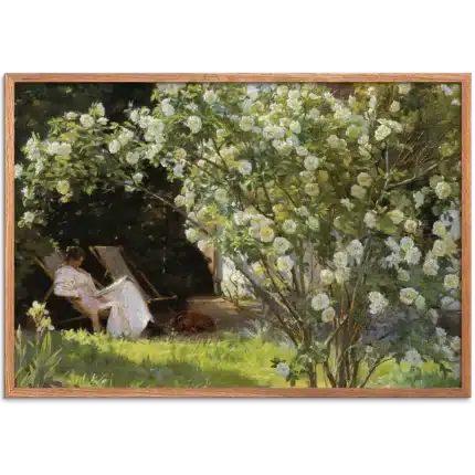 Roser (1893)