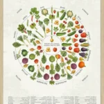 Årstidernes frugt og grønt