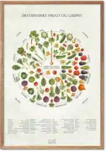 Årstidernes frugt og grønt plakat – sæsonkalender med danske frugter og grøntsager