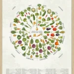 Årstidernes Grøntsager