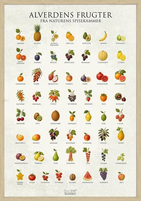 Frugt Plakat