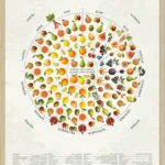 Årstidernes Frugter