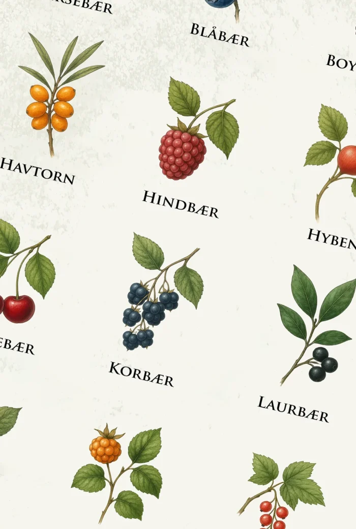 Bærsymfoni Plakat