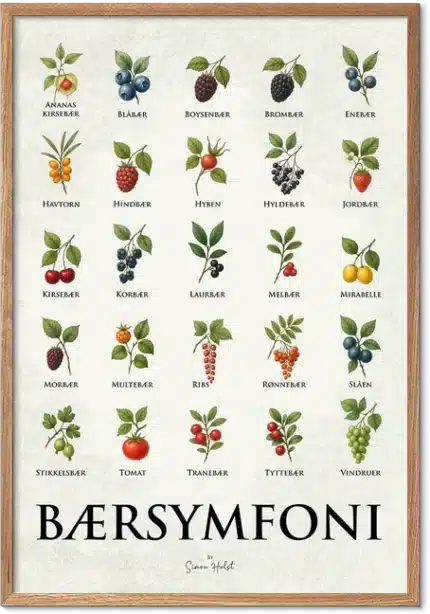 Bærsymfoni plakat med illustrerede danske og nordiske bær – køkkenkunst