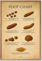 Poop Chart – plakat til badeværelset – stilfuld vægdekoration