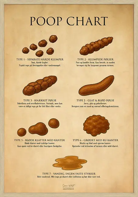 Poop Chart Plakat