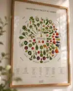Årstidernes Frugt og Grønt Plakat - Billede 4